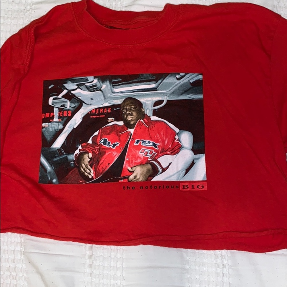 Biggie crop top long sleeve